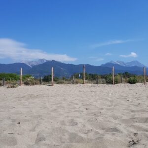 View of the Apuan Alps from the beach